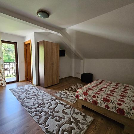 Villa Casa Alba Borşa Esterno foto