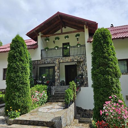Villa Casa Alba Borşa Esterno foto