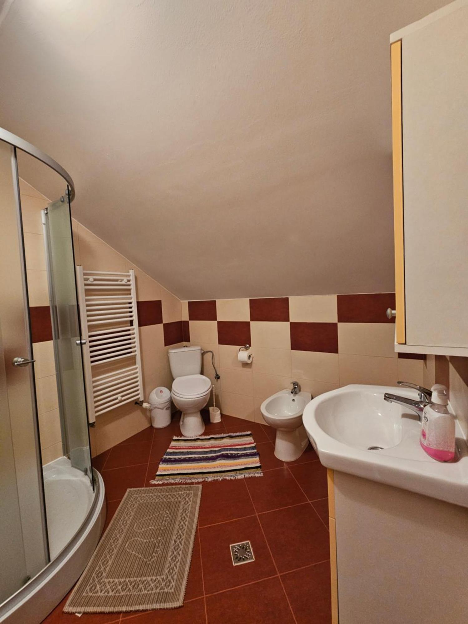 Villa Casa Alba Borşa Esterno foto