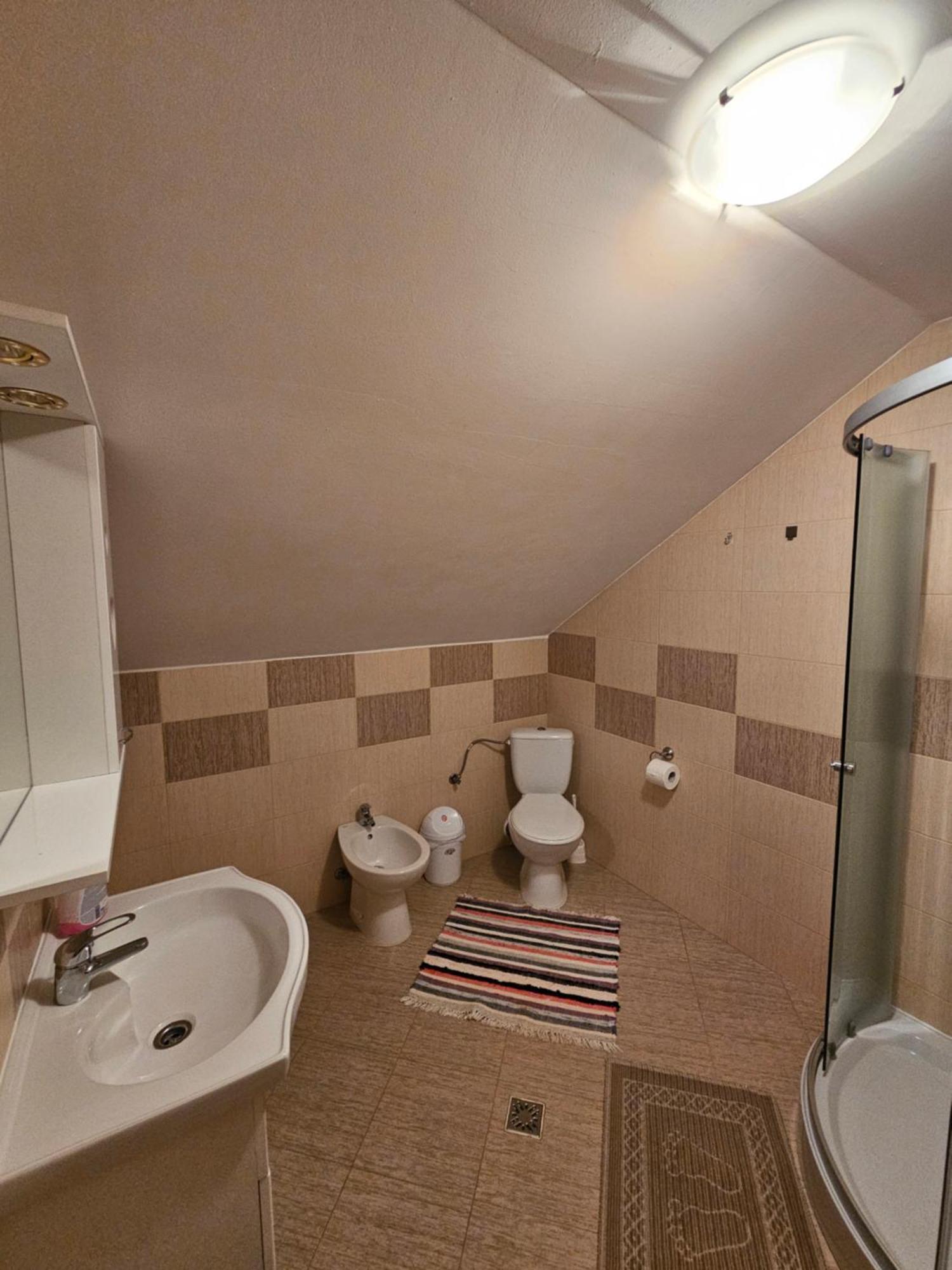 Villa Casa Alba Borşa Esterno foto