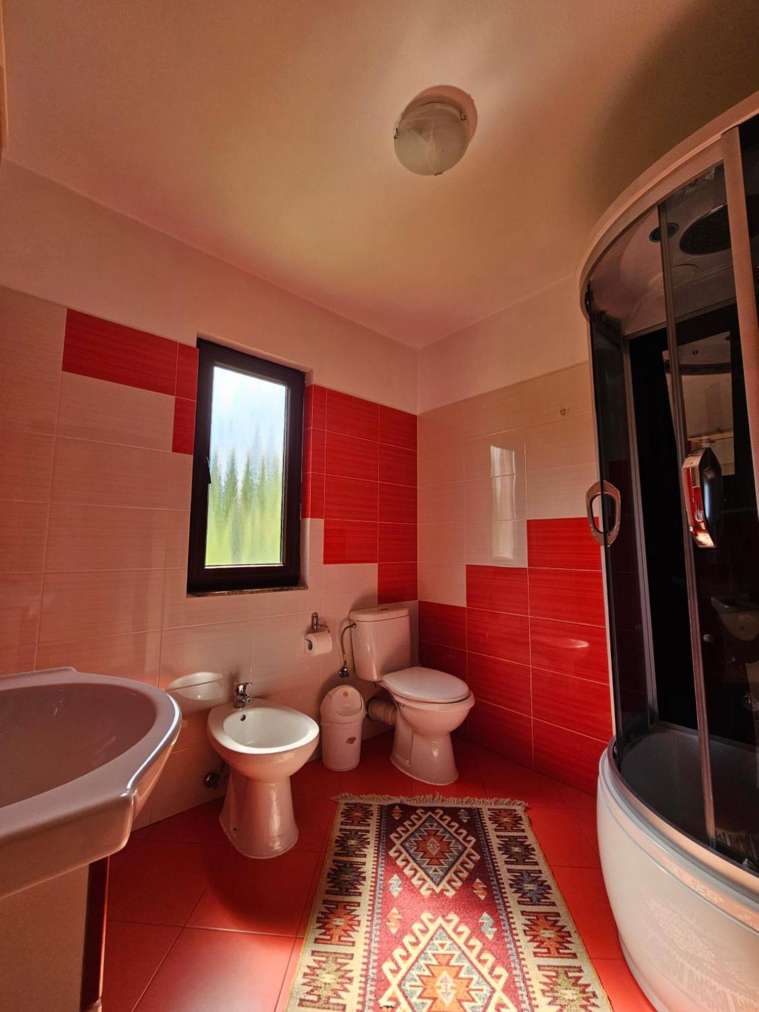 Villa Casa Alba Borşa Esterno foto