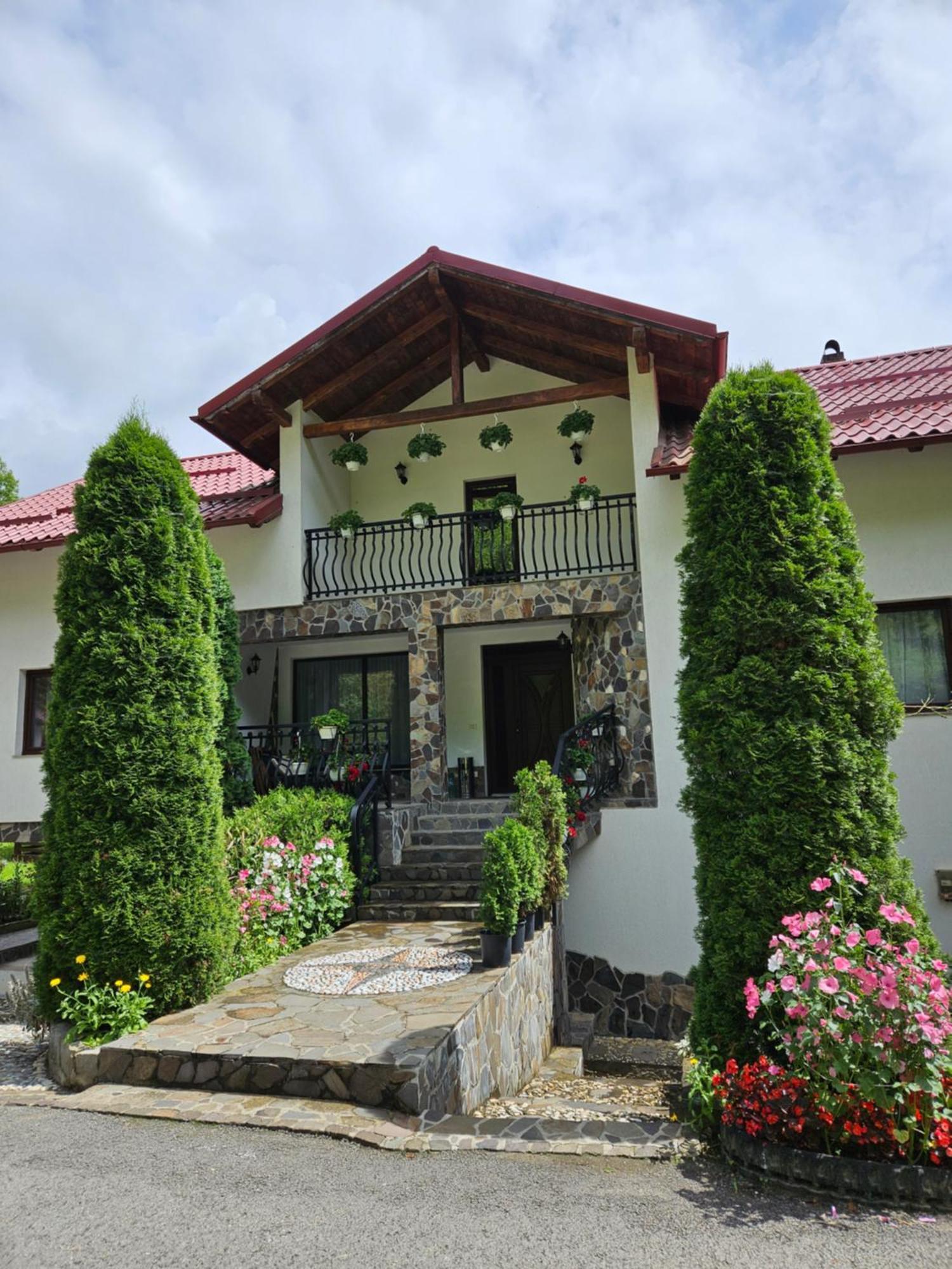 Villa Casa Alba Borşa Esterno foto