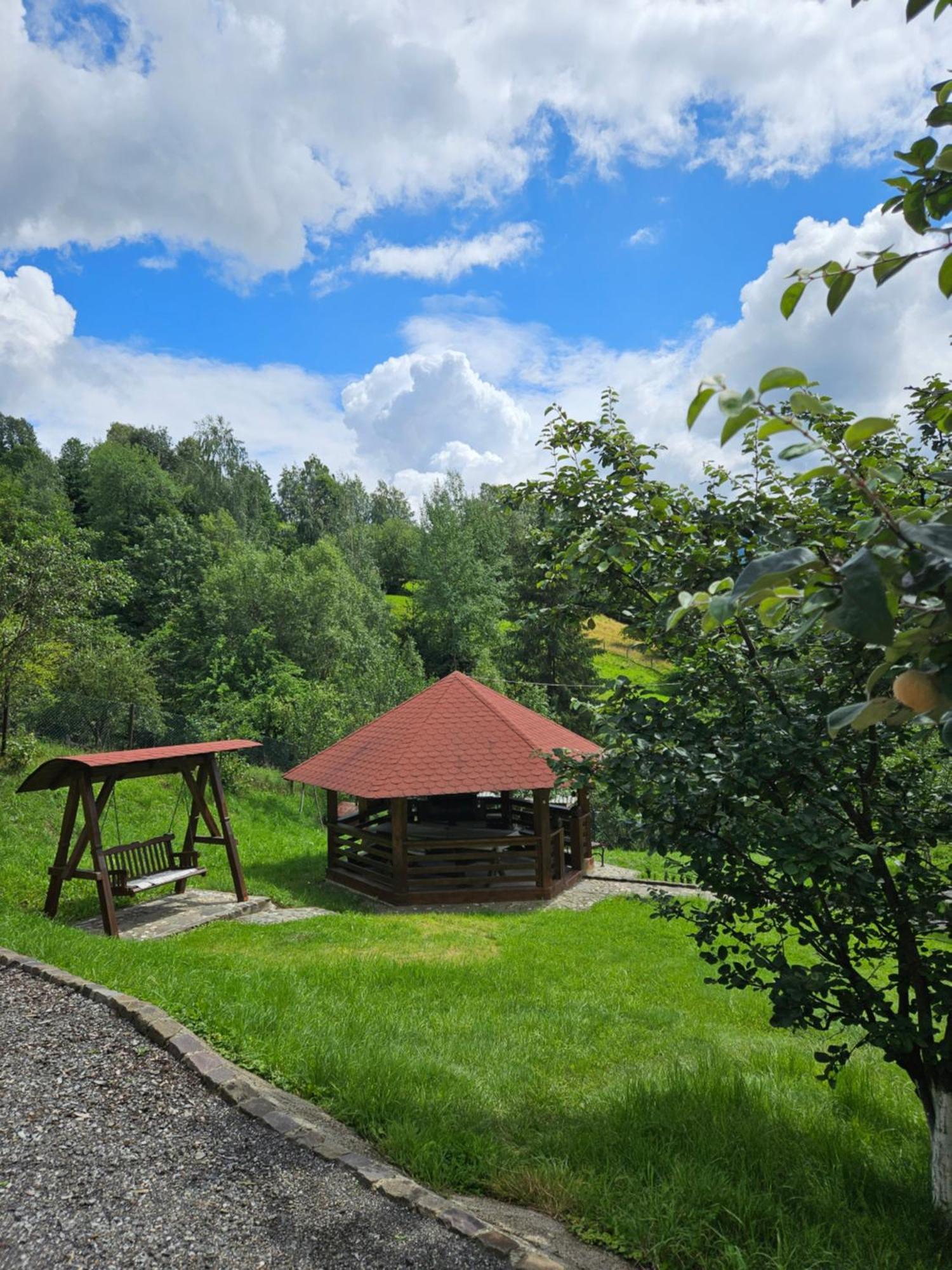 Villa Casa Alba Borşa Esterno foto