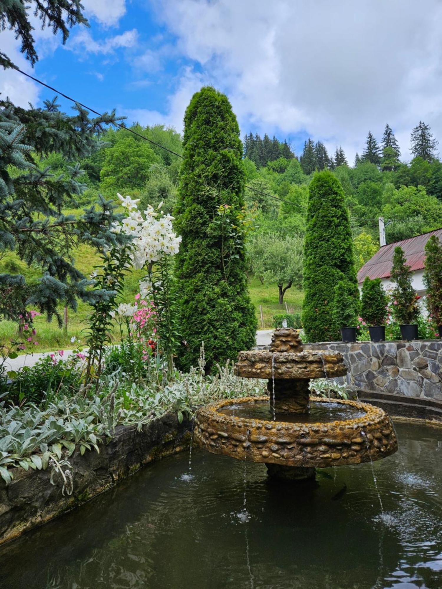 Villa Casa Alba Borşa Esterno foto
